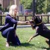 Lindsay Scott with a dog at Boulder's Humane Society 