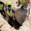 CU Hyperloop team members stand in a hole during the competition