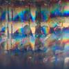 students from the Psychedelic Club and Students for Sensible Drug Policy