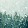Tree tops and snow through a frosted window