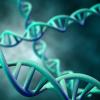 DNA