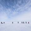 Arctic sea ice