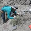 Karen Chin excavates fossilized dinosaur feces at Utah’s Grand Staircase-Escalante National Monument