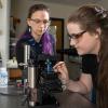Assistant Professor Kōnane Bay (left) working in the lab with a doctoral student