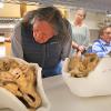Man leans over a shelf holding three bison skulls stored in casts