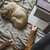 A dog is curled up next to a laptop on a bed. Also, a person's legs are crossed on the bed.