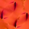 Microscopic view of a new phase of liquid crystal
