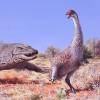 An illustration of the giant, flightless bird known as Genyornis newtoni, surprised on her nest by a 1-ton predatory lizard named Megalania prisca in Australia roughly 50,000 years ago.