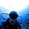 Mike Gil takes a selfie with a shark while scuba diving