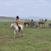 countryside in Mongolia