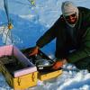 National Snow and Ice Data Center director Mark Serreze conducted research on the St. Patrick Bay ice caps as a graduate student with the University of Massachusetts in 1982. (Photo credit: Ray Bradley)