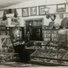 Old photo of the natural history museum at Hale