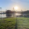 green space in a city