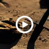 Video play