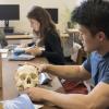 Students analyze human skull in Norlin Library
