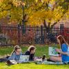 Students studying outside
