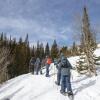 Group of people snowshoeing