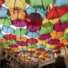 Colorful umbrellas cover a Paris street