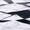 Penguin on ice in Antarctica