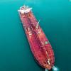 Cargo ship in the ocean