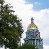 Dome of Colorado State Capitol Building with tree in the foreground