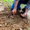 A man gardening