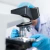 Drug development.