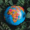 Globe
