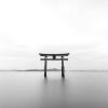 Torii in Japan.
