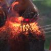 wildfire
