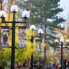 'Protect Our Herd' campaign signage on Pearl Street Mall in fall 2020