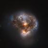 A young megamaser as seen by the Hubble Space Telescope
