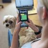 A young woman plays a game of Wordle with a dog on her lap