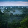 Amazon Rainforest