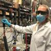 Researchers in the Labbe Lab