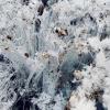 A close-up image of ice needles