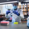 Molecular, cellular and developmental biology graduate student Quing Yang examines samples as part of the process of a rapid, portable saliva-based COVID-19 test able to return results in 45 minutes in the Sawyer lab at the Biofrontiers Institute at the University of Colorado Boulder . (Photo by Glenn Asakawa/University of Colorado)