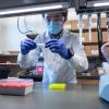 Molecular, cellular and developmental biology graduate student Quing Yang examines samples as part of the process of a rapid, portable saliva-based COVID-19 test able to return results in 45 minutes in the Sawyer lab at the Biofrontiers Institute at the University of Colorado Boulder . (Photo by Glenn Asakawa/University of Colorado)