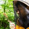 Sammy Ramsey wearing protective gear and holding honeycomb with bees on it