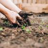 person working in garden bed