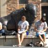 students studying, sitting near buffalo statue