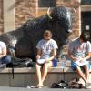 students studying, sitting near buffalo statue
