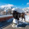 Ralphie sculpture with Flatirons in background