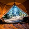 View of outdoors from inside a camping tent
