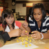 People working on a science project