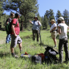 Researchers in the field