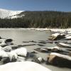 Snow covered landscape