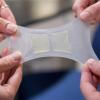 Researchers stretch a sample of artificial muscle made in Christoph Keplinger's lab at CU Boulder. (Credit: Glenn Asakawa)