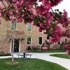 Scenic image of the School of Education courtyard