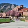 Center for Community building in spring